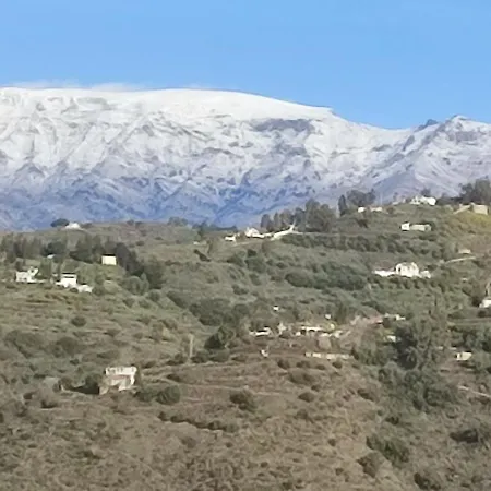 Encinas Costa Del Sol